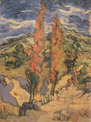 Vincent Van Gogh Two Poplars on a Road through the Hills (nn04) china oil painting image